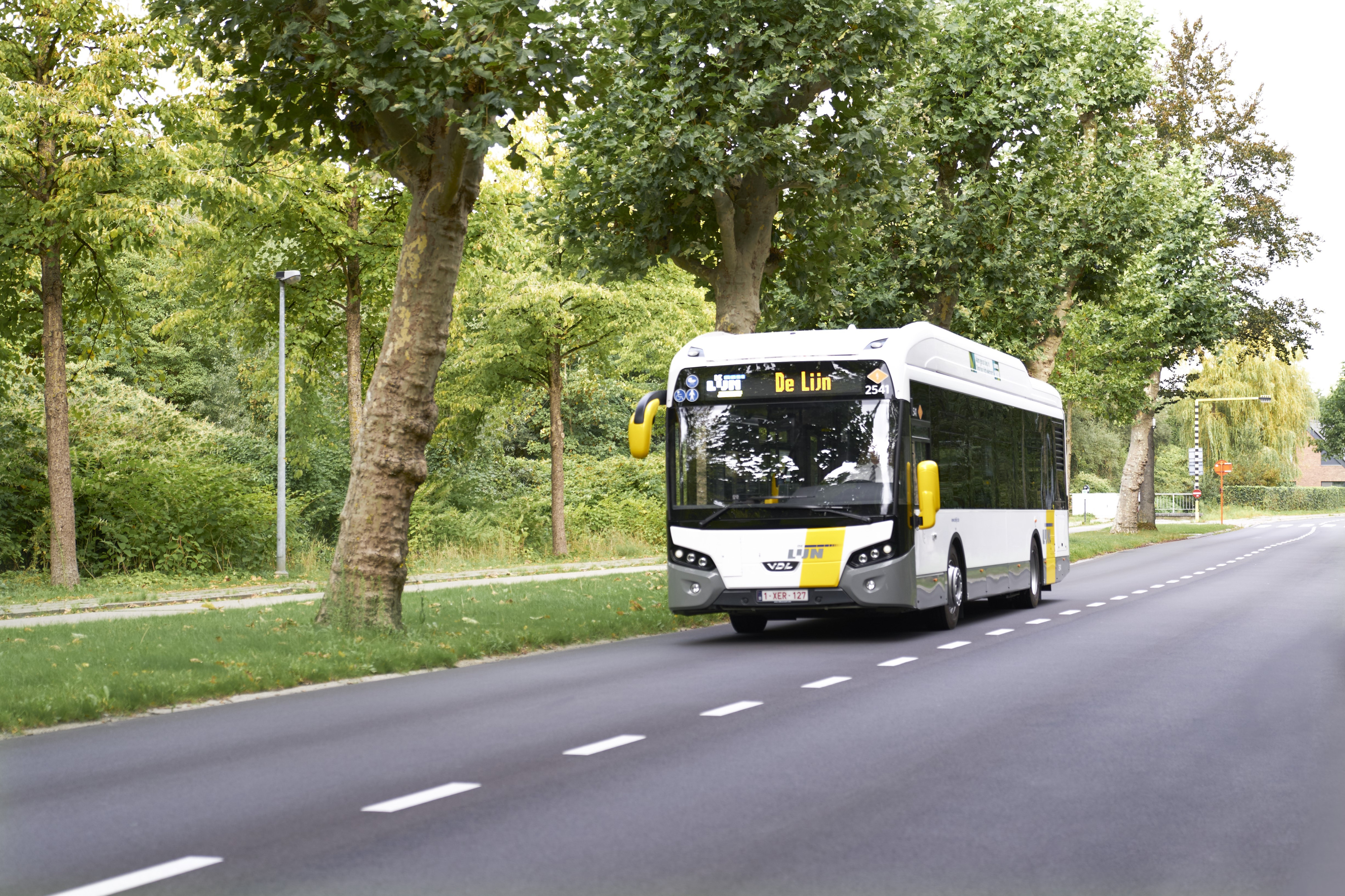 bus van De Lijn die rijdt op weg tussen de bomen
